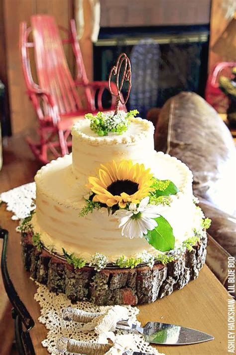 A Rustic Wedding In The Smoky Mountains Wedding Cake Rustic Types Of