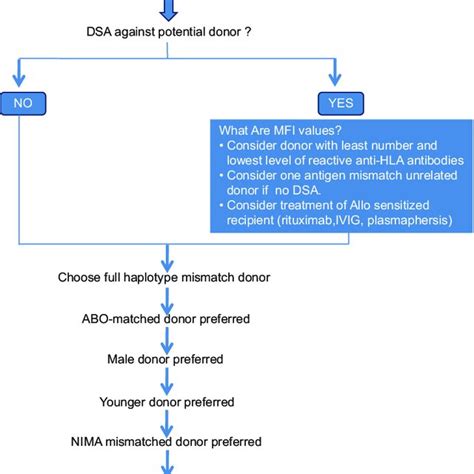 Factor Considered For Donor Selection Hla Human Leukocyte Antigen