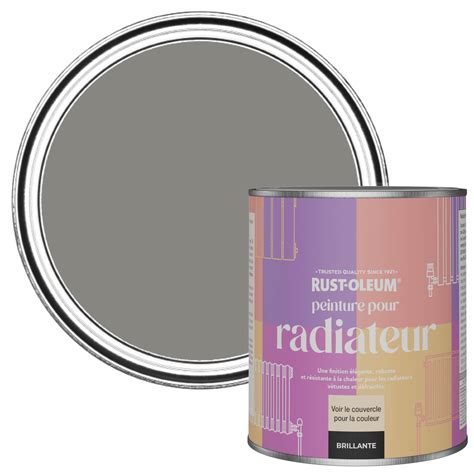 Rust Oleum Peinture pour Radiateur Finition Brillante Béton 750ml