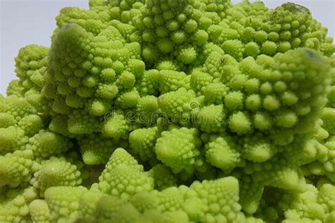 Romanesco Broccoli Roman Cauliflower Romanesque Cauliflower Or