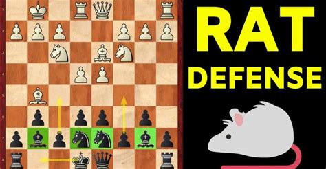 The Rat Defense An Easy Tricky Chess Opening