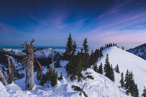 Winter in Washington: 20 Adventurous and Outdoorsy Activities ...