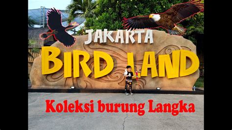 Liburan Ke Jakarta Bird Land Ancol Youtube