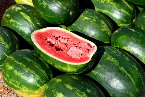 Fresh Watermelons Free Stock Photo Public Domain Pictures