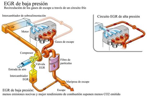 Egr La Famosa V Lvula Lo Quieres Lo Tenemos Blog Cdr