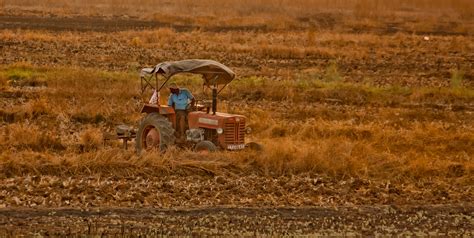 Free Images Work Man Growth Plant Tractor Field Farm Wheat