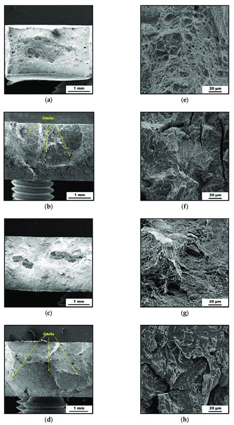 Sem Micrographs A D And Detailed Sem Micrographs E H Of The