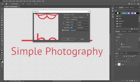 How To Vectorize An Image In Photoshop Step By Step Guide Web Design