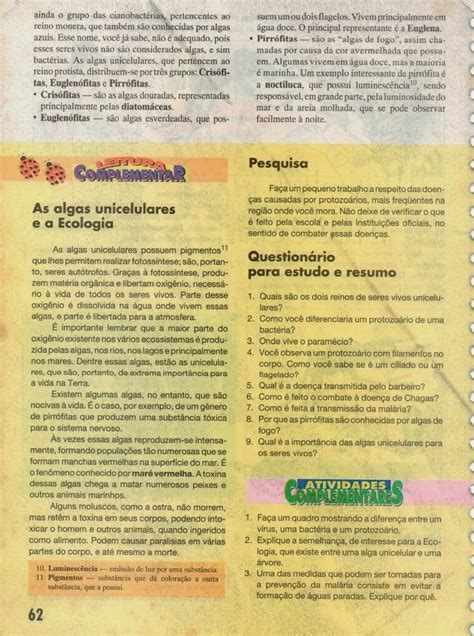 JORNAL PONTO 09 CIÊNCIAS ENSINO FUNDAMENTAL REINO PROTISTA