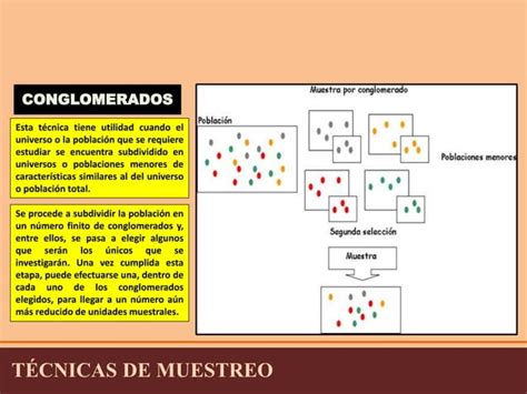 Tecnicas De Muestreo Ppt