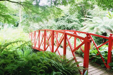 Abbotsbury Subtropical Gardens - April Everyday