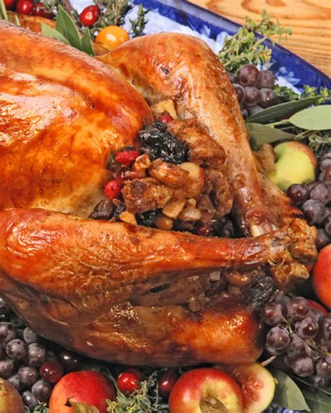 38 Terrific Thanksgiving Turkey Recipes | Martha Stewart