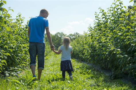 Fotos hofreiter selber Ernten Beeren Gemüse BeerenCafé München