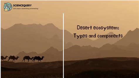 Desert Ecosystem Types And Components Youtube