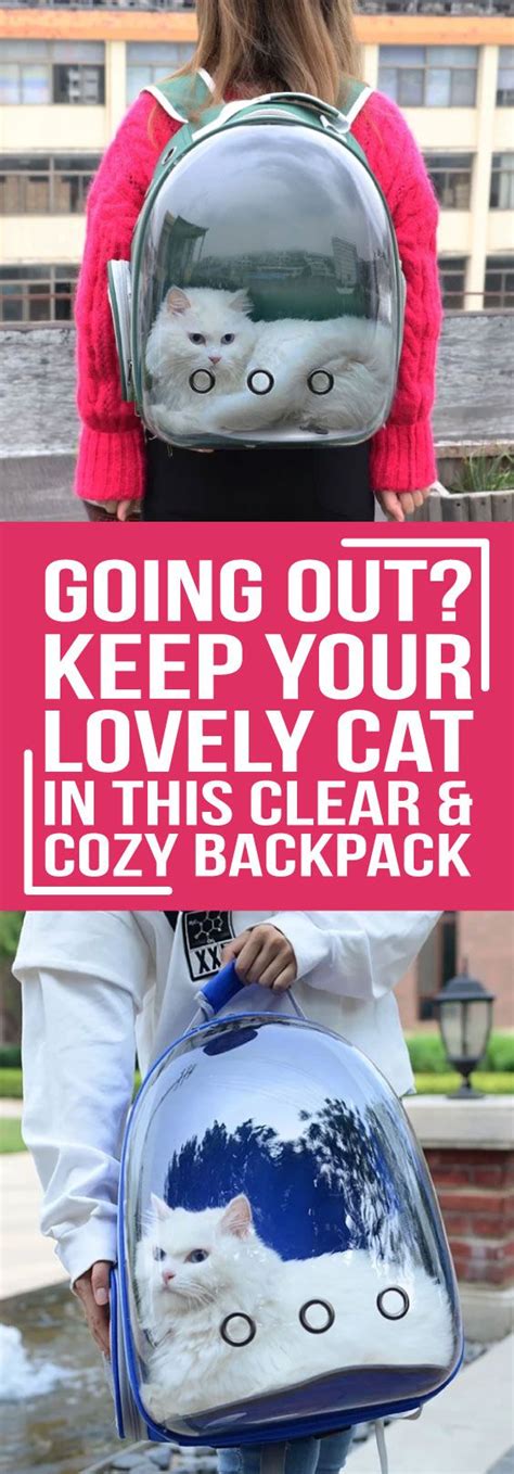 Clear Cat Backpack 51 Off Limited Offer Inspire Uplift Cat