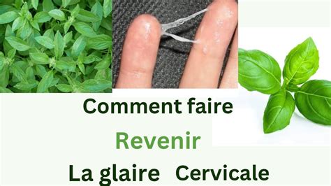 Comment Faire Revenir La Glaire Cervicale Youtube