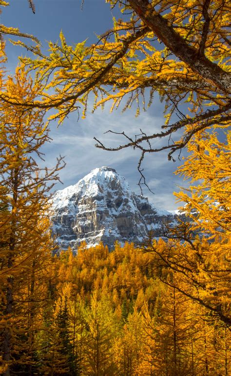 10 Things To Do In Banff This Fall Fairmont Banff Springs