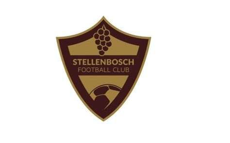 Know Your Owner: Stellenbosch FC - Cash N Sport