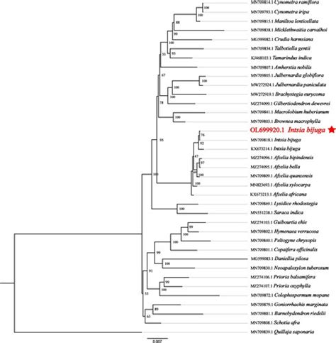 Full Article The Complete Chloroplast Genome Sequence Of Intsia Bijuga