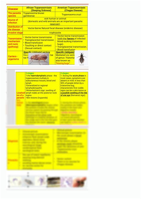 SOLUTION Parasitology Diseases Parasites Studypool