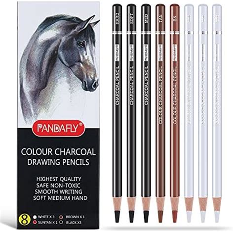 HIFORNY Lot De 10 Crayons De Couleur Fusains De Couleur Pour Croquis