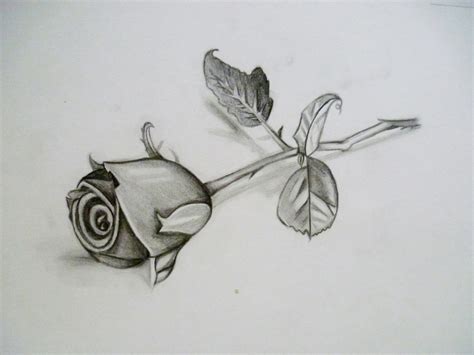 3d Flower Drawing at PaintingValley.com | Explore collection of 3d Flower Drawing