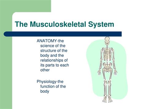 Ppt Chapter 7 Powerpoint Presentation Free Download Id 4228790