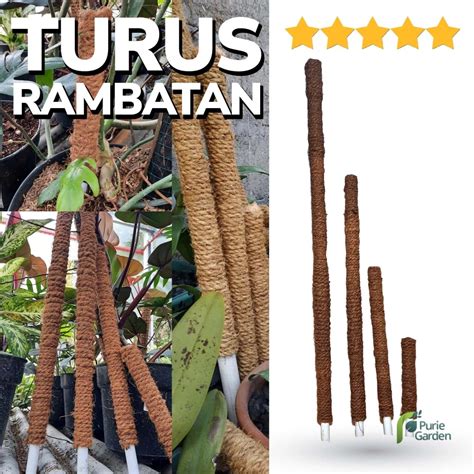 Jual Turus Serabut Kelapa Penegak Tanaman Cocofiber Shopee Indonesia