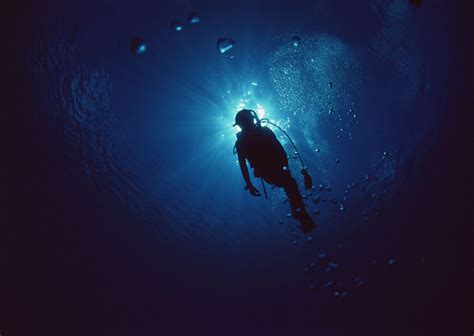 Diving Hd Wallpapers Background Images Wallpaper Abyss | The Best Porn Website