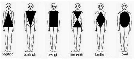 Macam Macam Bentuk Tubuh Dan Penjelasannya Berbagi Bentuk Penting Riset