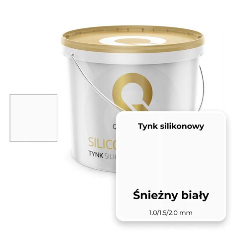 TYNK SILIKONOWY ŚNIEŻNO BIAŁY 25kg ELEWACYJNY ERLI pl