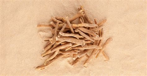 10 Ashwagandha Benefits For Women When Should You Take It Marham