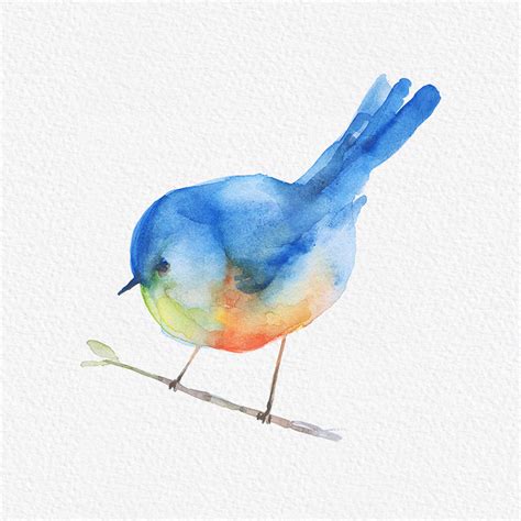 Free Blue Sparrow Bird Watercolor Clipart Png Gogivo Watercolor