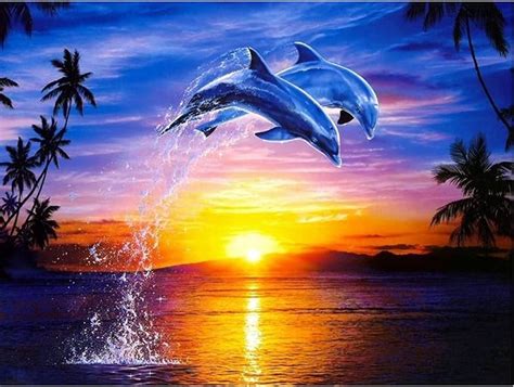 Mxjsua Diy 5d Diamond Art Painting Dolphin By Number Kits