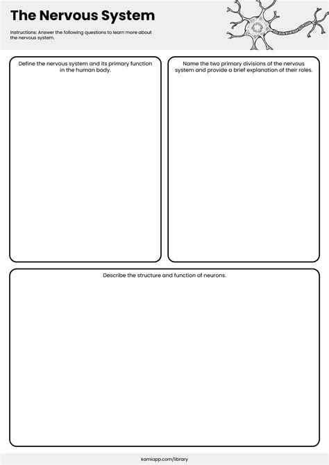 The Nervous System Natural Science Worksheet Live Worksheets Worksheets Library