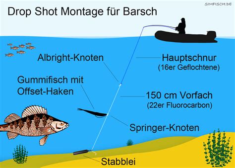 Barschangeln Tipps Simfisch De Angeln Und Outdoor