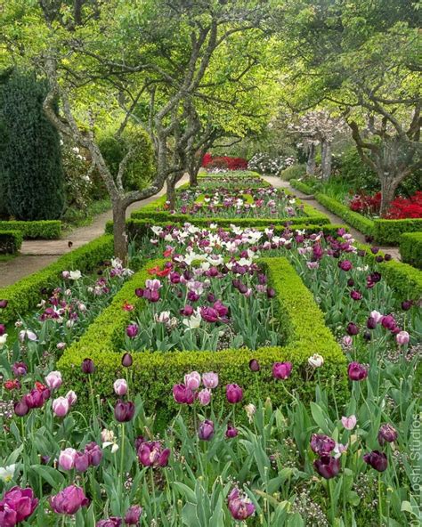 Spring 2023 Has Sprung At Filoli Estate & Gardens In Woodside