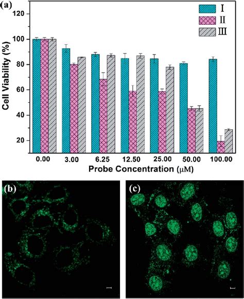 A Cell Viability Of Hela Cells After Incubating With Probes Of Download Scientific Diagram