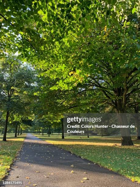 Hyde Park Ground Photos and Premium High Res Pictures - Getty Images