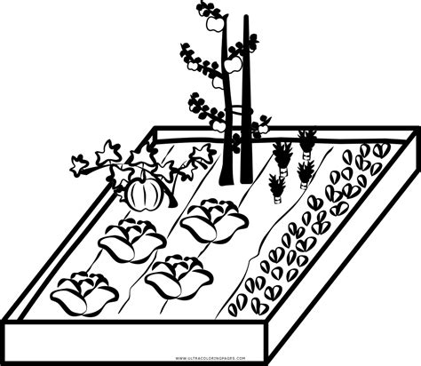 Desenhos De Horta Para Colorir BRAINCP