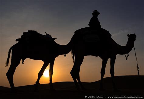 Camel Safari in India's Thar Desert - Part 2 - A Nomadic Existence