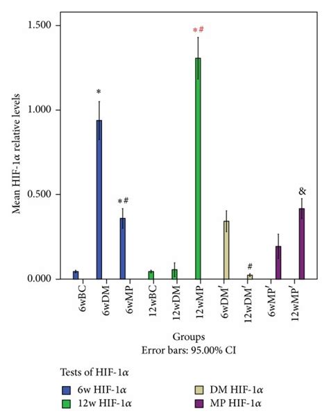 Western Blot Analysis Of Hif 1α Protein Expression P∗ Download Scientific Diagram