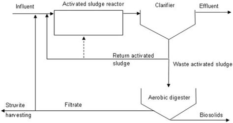 Sustainability Free Full Text Struvite Phosphorus Recovery From