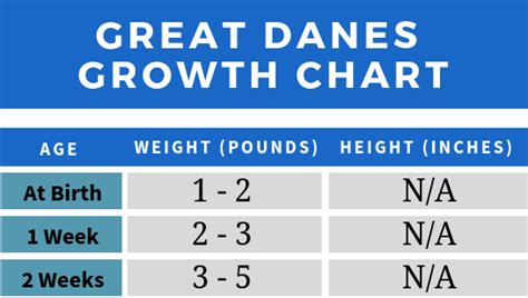 A Typical Great Dane Growth Chart Great Dane K9