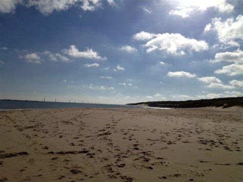 Dog walk at Sea Palling Beach · Norfolk · Walkiees