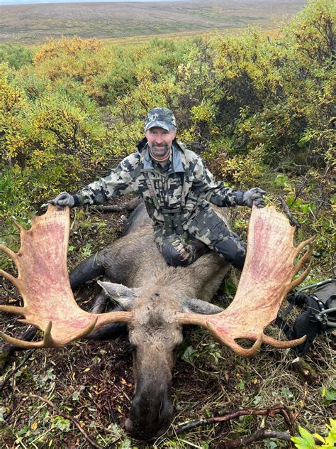 Alaska Moose Caribou Or Bear Hunting Gage Outdoor Expeditions