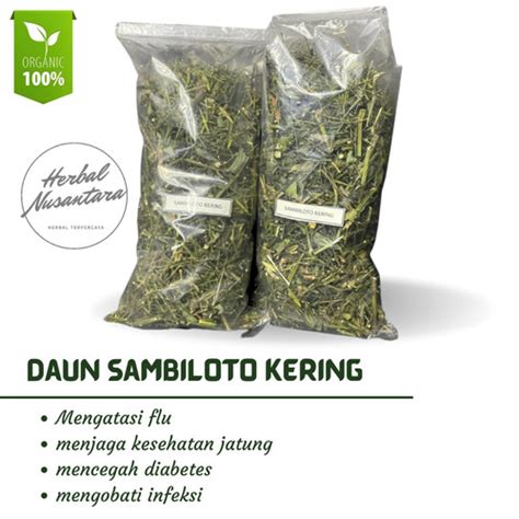 Jual Daun Sambiloto Kering Asli Organik - teh sambiloto herbal diabetes dll - Kab. Pangandaran ...