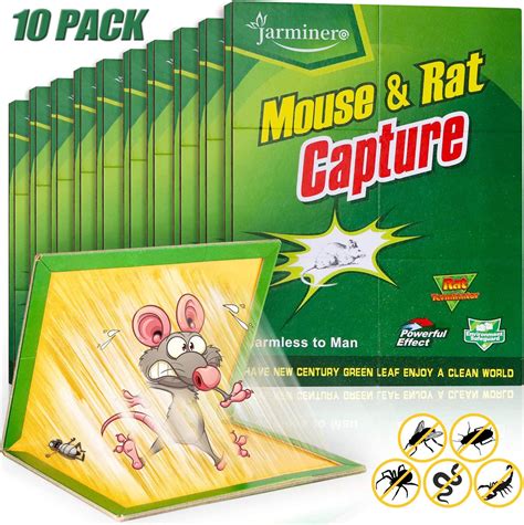 Pack Of 10 - Mouse & Rat Bond Traps - Expert Catch Mouse & Rat - Rat Glue Pad - Mouse Catcher ...