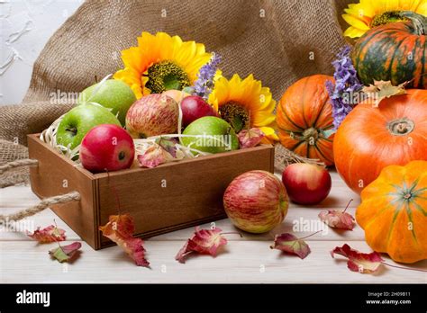 Rustic Fall Background With Wooden Box Pumpkin Autumn Leaves Red