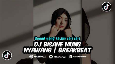 Dj Bisane Mung Nyawang Breakbeat Jedag Jedug Viral Tiktok Youtube